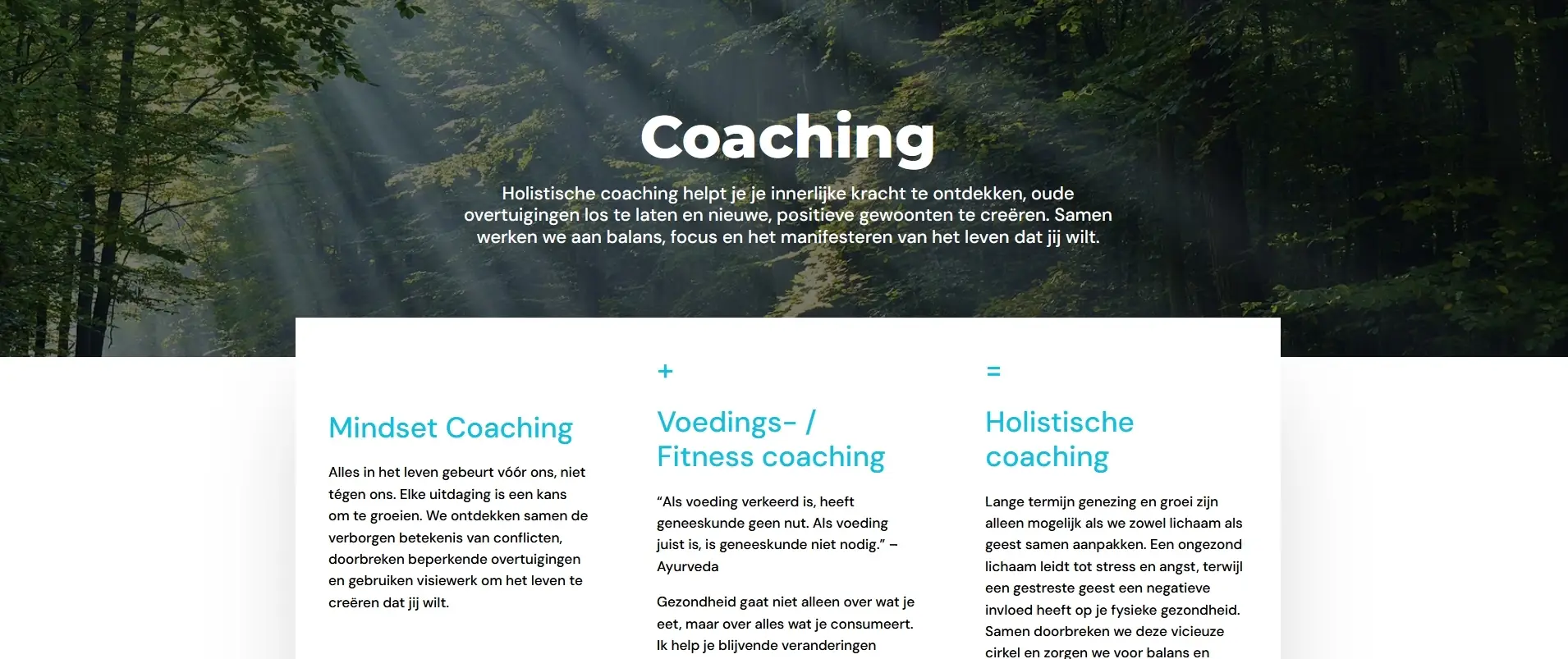 Online coaching case study marketing (VOORBEELD)11