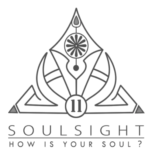 Soulsight11 case study foto